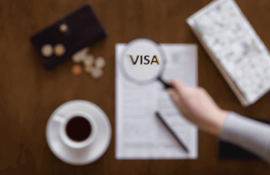 Visa Application, Lodgement & Consultation